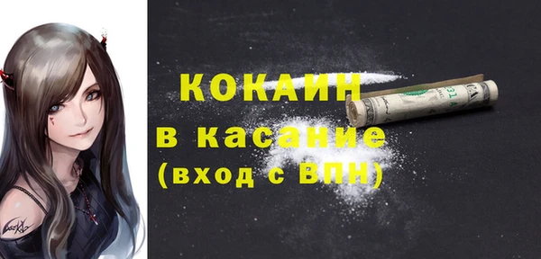 твердый Пестово