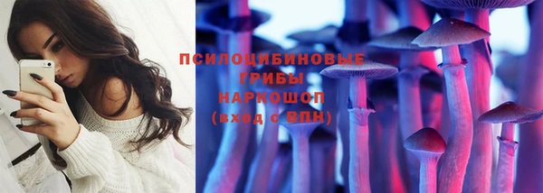гидра Пересвет