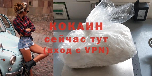 гидра Пересвет